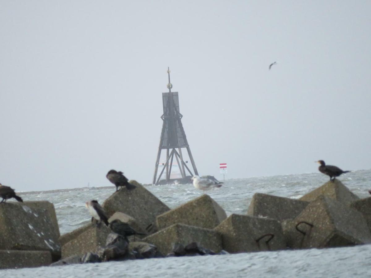 Deichblick Daire Cuxhaven Dış mekan fotoğraf