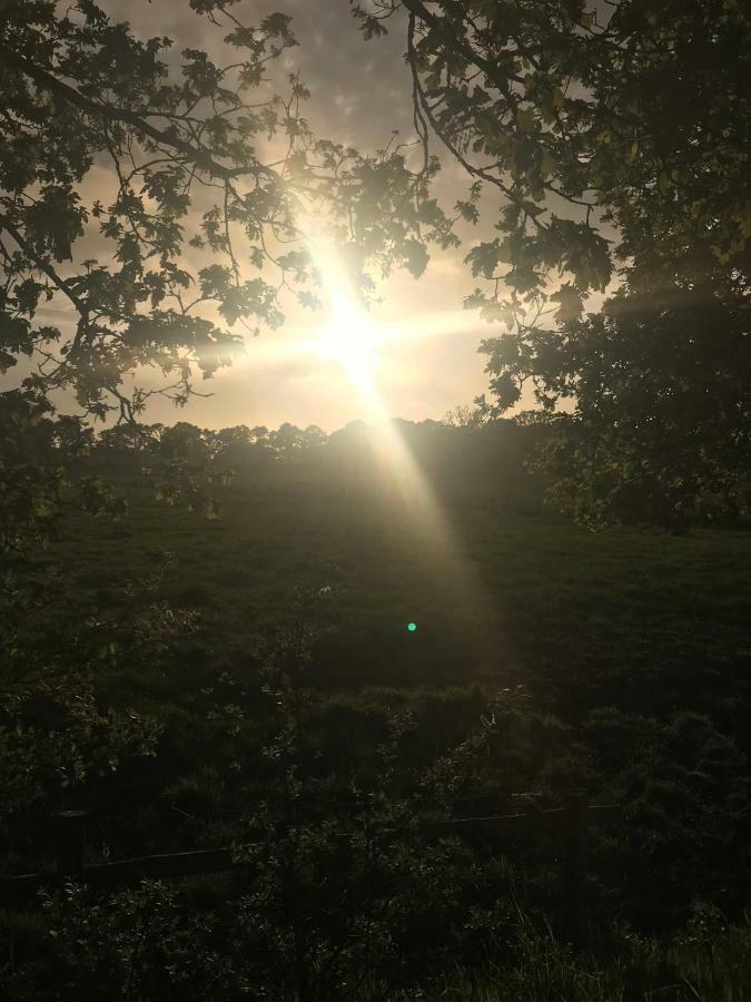 Deichblick Daire Cuxhaven Dış mekan fotoğraf
